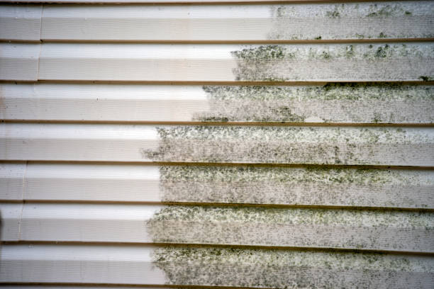 Best Yard Waste Removal  in Palmetto Estates, FL